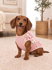Gilets pour chiens de sensibilisation au cancer du sein
